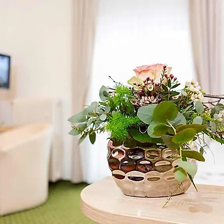 Pfaelzer Wald Hotel Bad Bergzabern