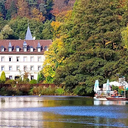 Hotel Pfaelzer Wald 3*
