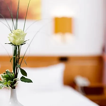 Pfaelzer Wald Hotel 3*