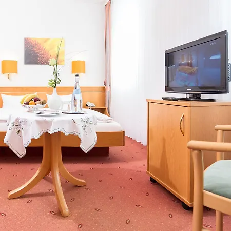 Hotel Pfaelzer Wald Bad Bergzabern