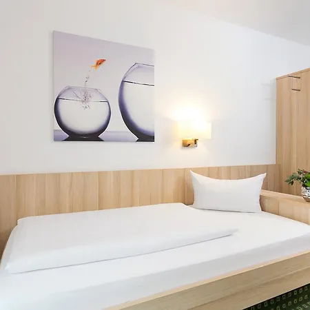 Hotel Pfaelzer Wald Bad Bergzabern