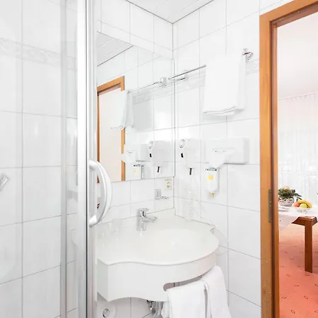 Hotel Pfaelzer Wald Bad Bergzabern