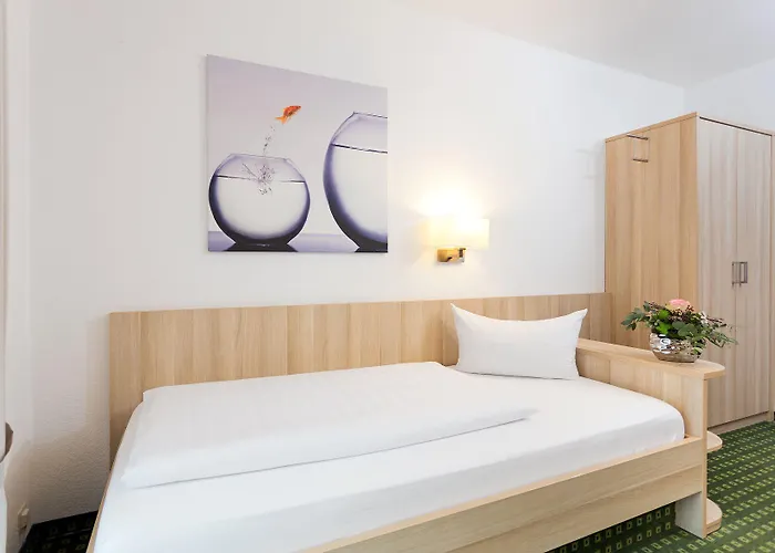 普法勒兹瓦德酒店