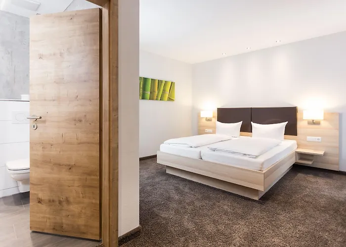 普法勒兹瓦德酒店 3* 巴特贝格匝本