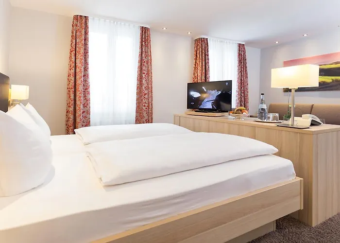 普法勒兹瓦德酒店