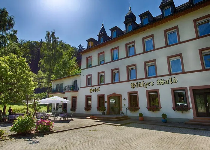 普法勒兹瓦德酒店