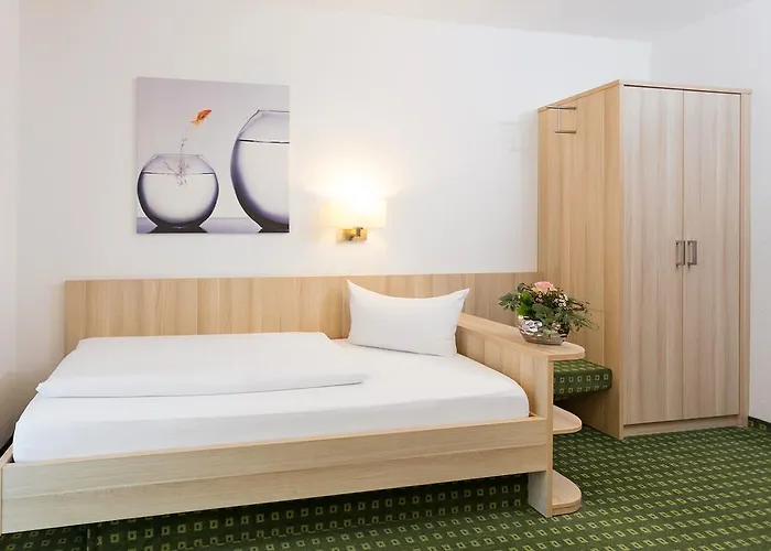 酒店 普法勒兹瓦德酒店