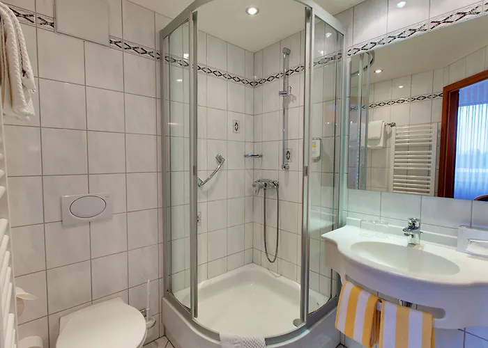 普法勒兹瓦德酒店 3*