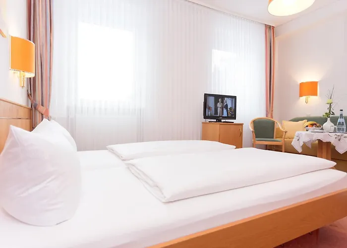 Pfaelzer Wald 호텔 3*