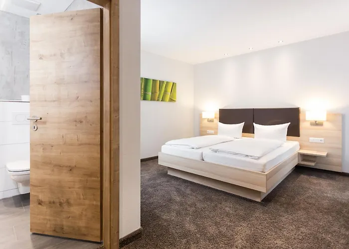 普法勒兹瓦德酒店 3* 巴特贝格匝本