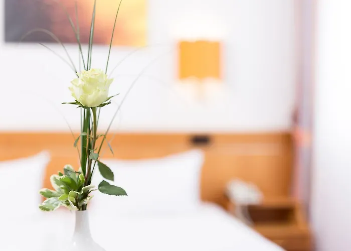 普法勒兹瓦德酒店 3*